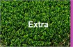 דשא סינטטי - אקסטרה Extra
